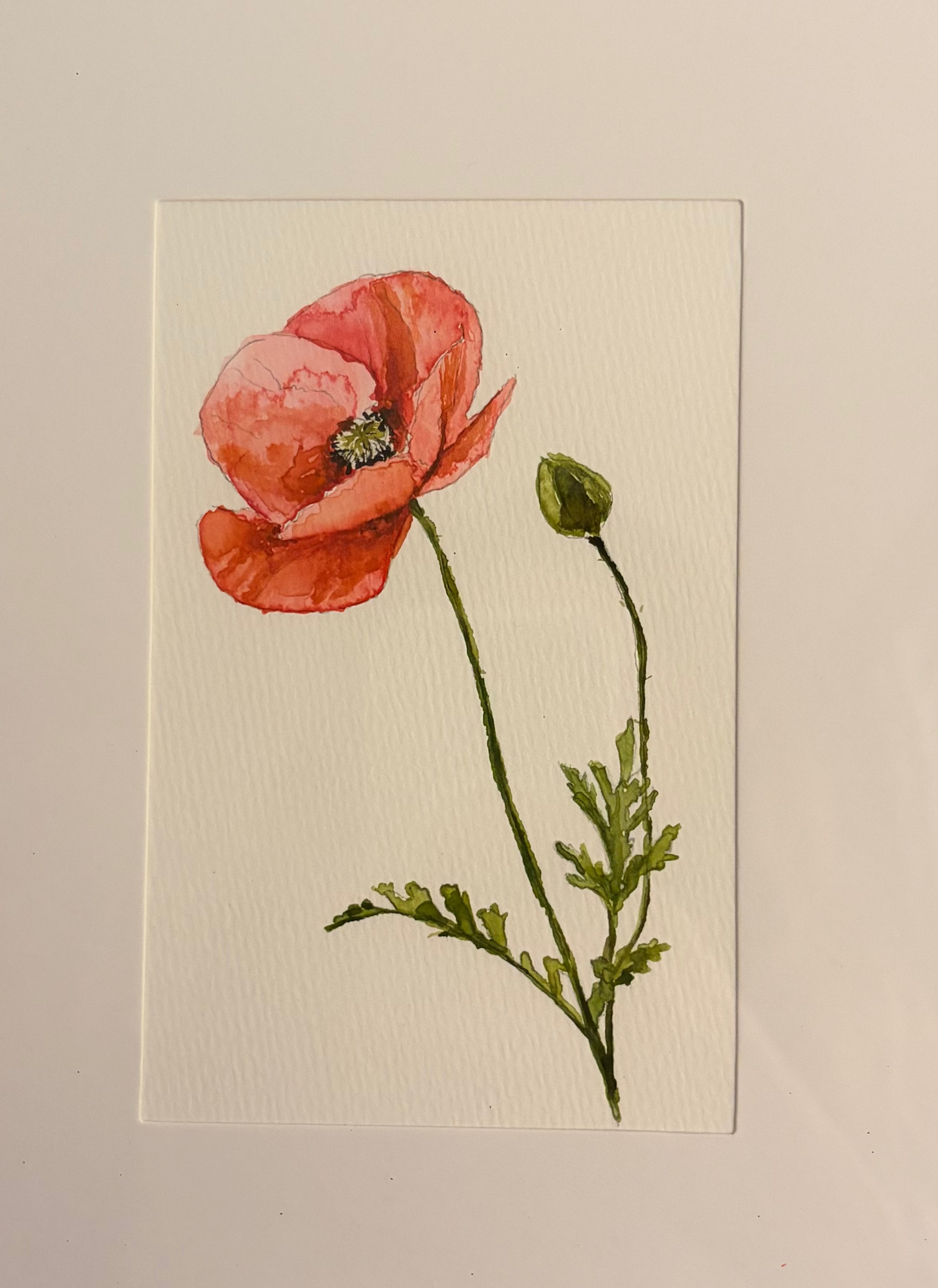 Poppy Original Framed Artwork