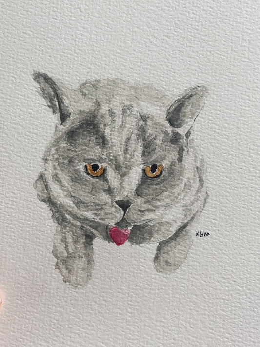 Pet Portrait