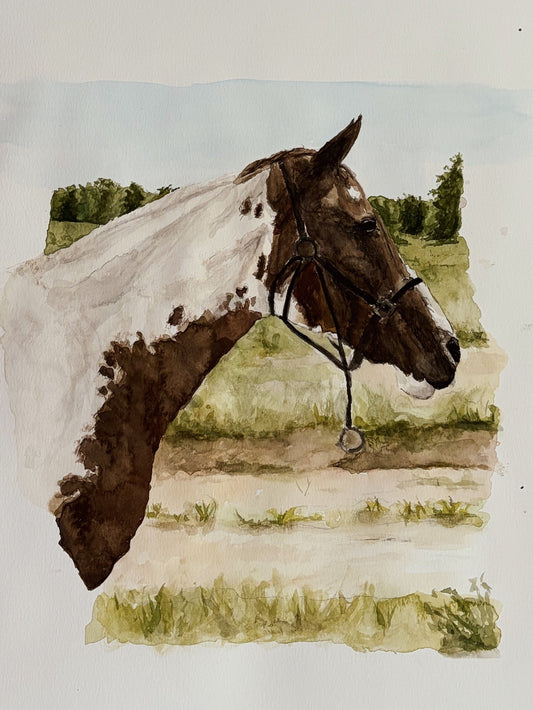 Pet Portrait