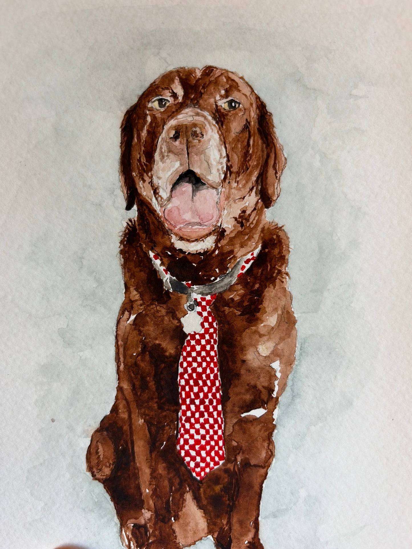 Pet Portrait