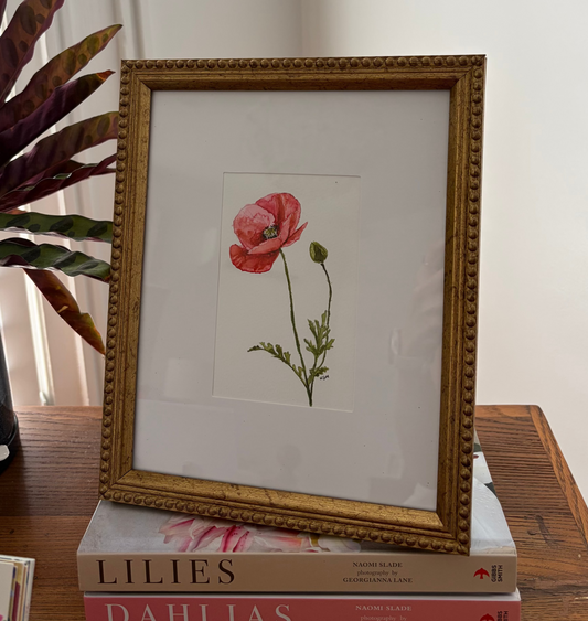 Poppy Original Framed Artwork
