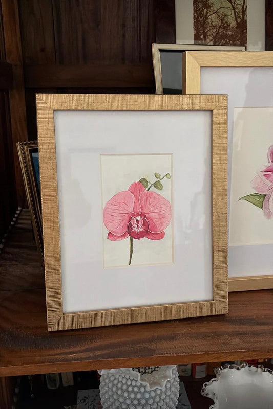 Pink Orchid - Original Framed Watercolor