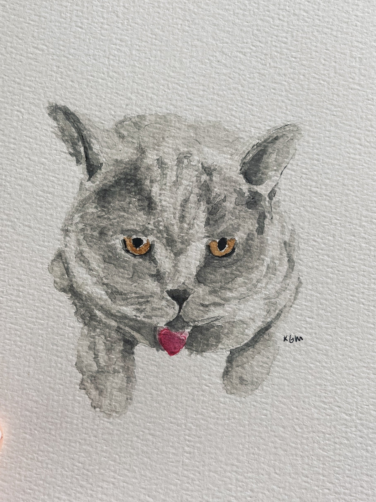 Pet Portrait